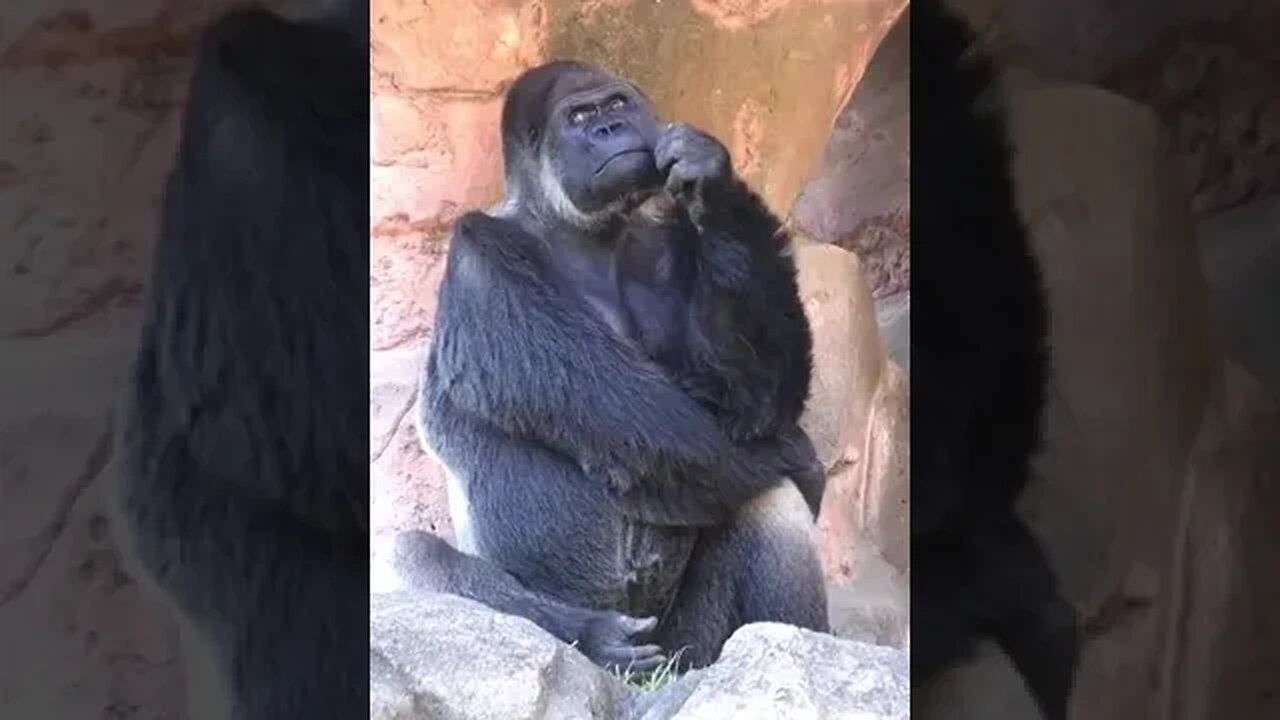 thinking to escape #shorts