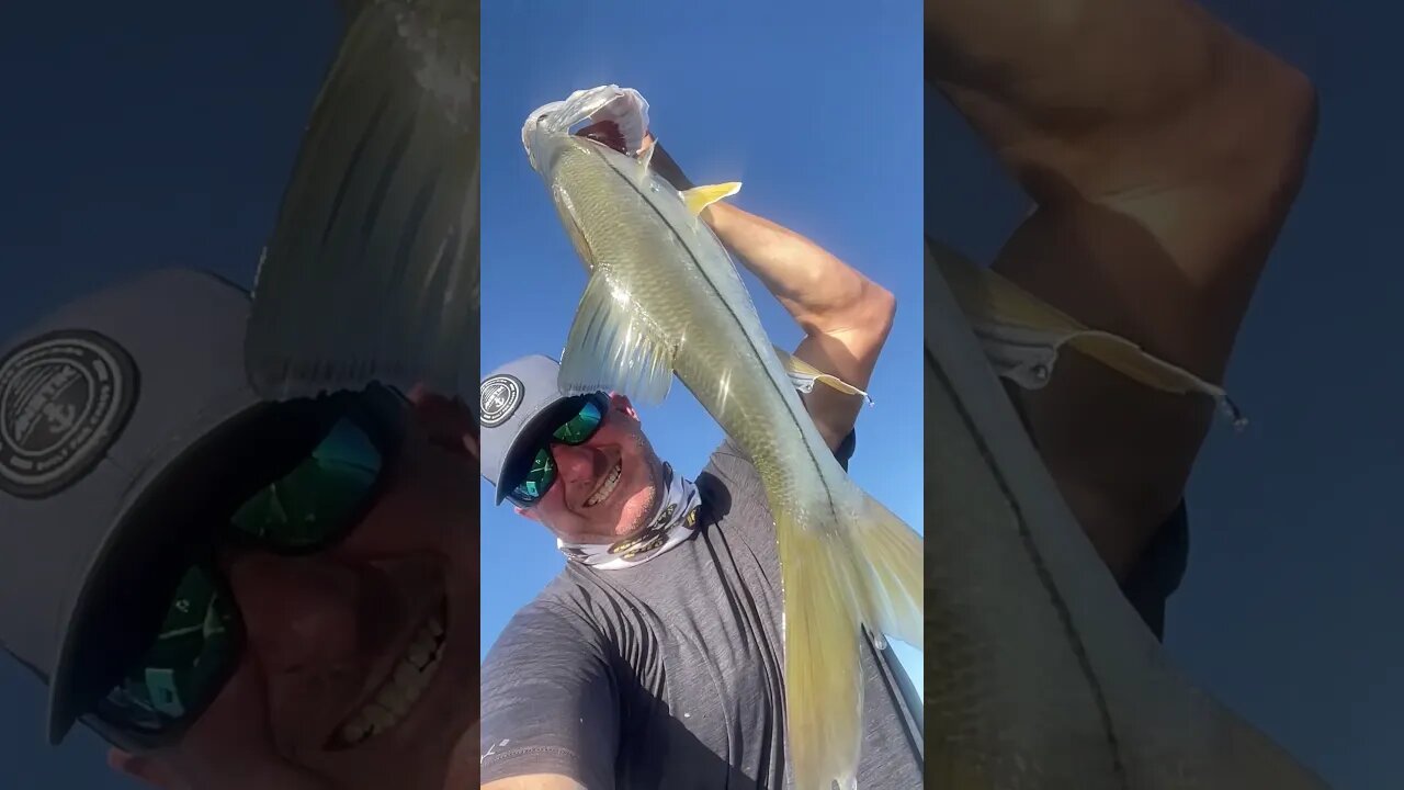 When Fishing is LIFE!! | South Tx Snook | #shorts #fishing