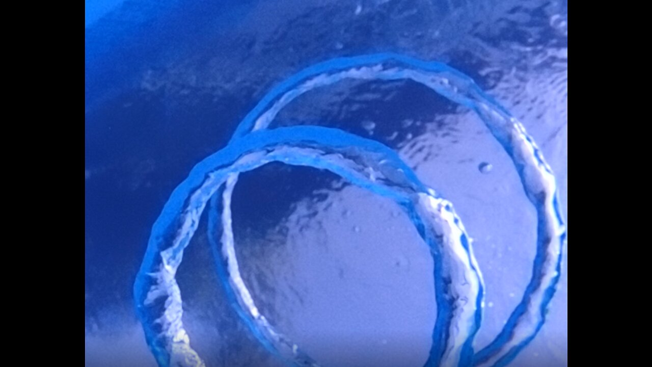 The Toroidal Vortex or Bubble Rings