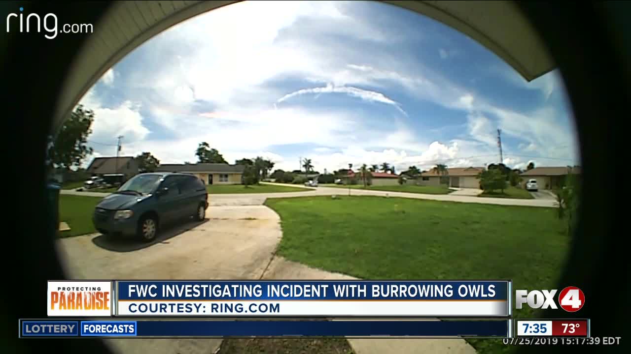 FWC investigating incident with burrowing owls