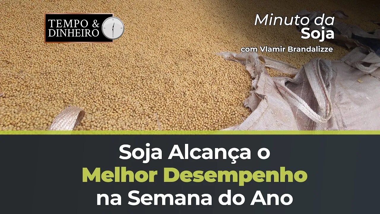 Soja na melhor semana do ano