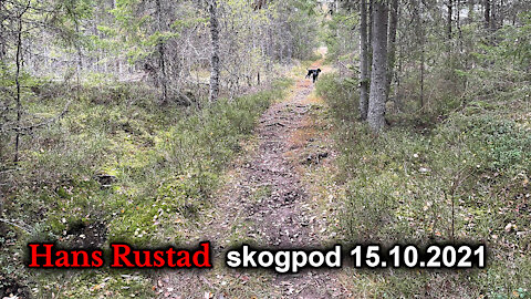 Skogpod 15. oktober: Et avkristnet land har avskaffet syndsbevisstheten