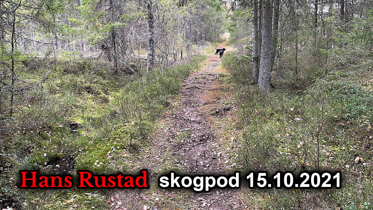 Skogpod 15. oktober: Et avkristnet land har avskaffet syndsbevisstheten