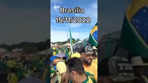 DF 2022 11 15