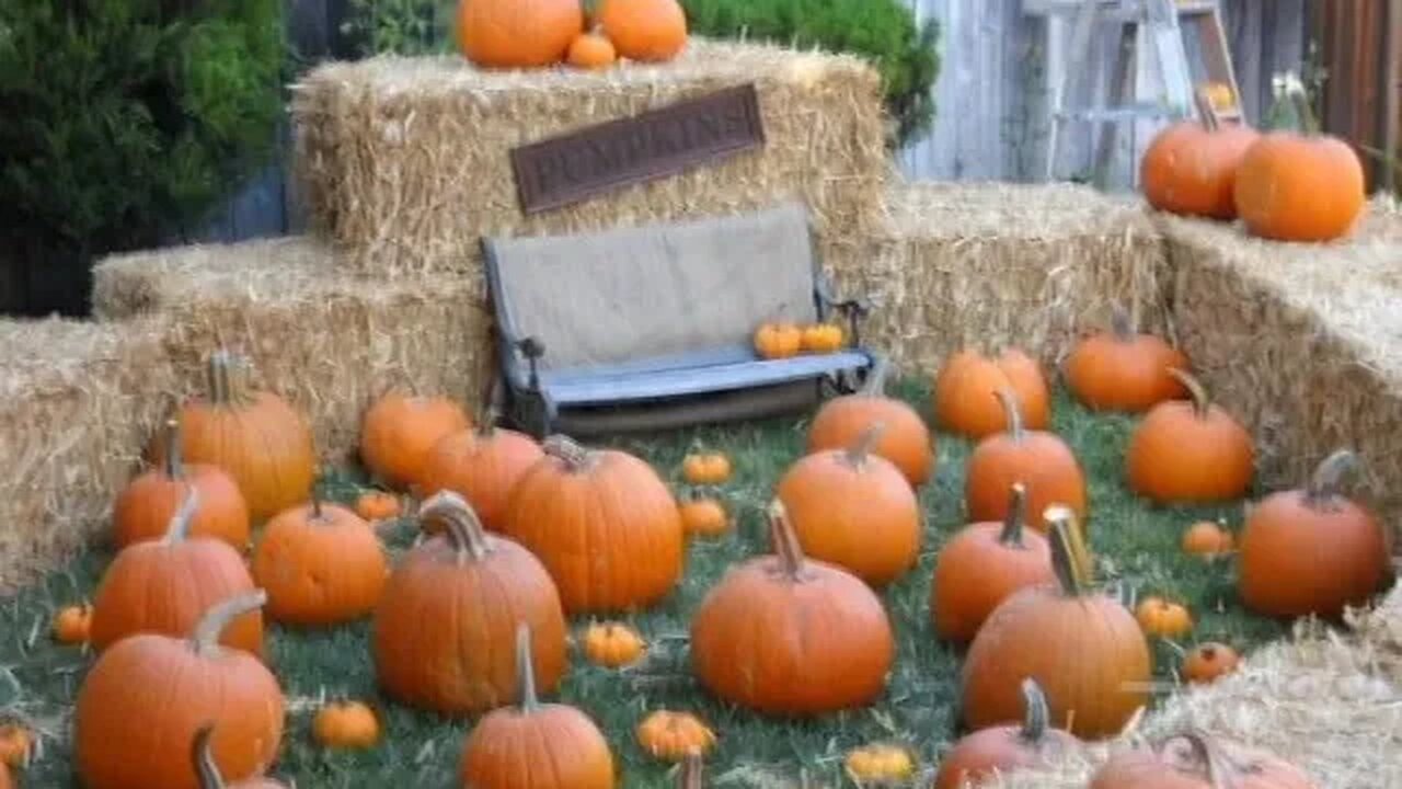 Pumpkin Patch Party (Original Beats)