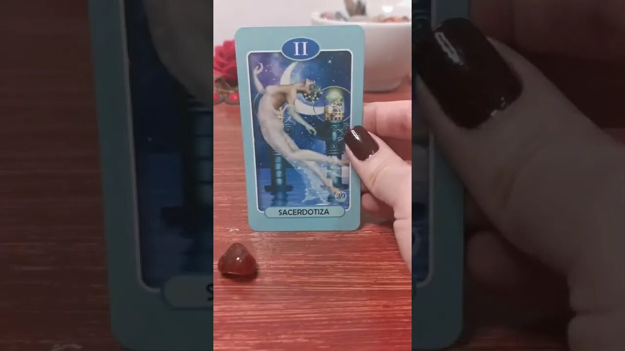 05/11 Sim ou não? #tarot #arcanosmaiores