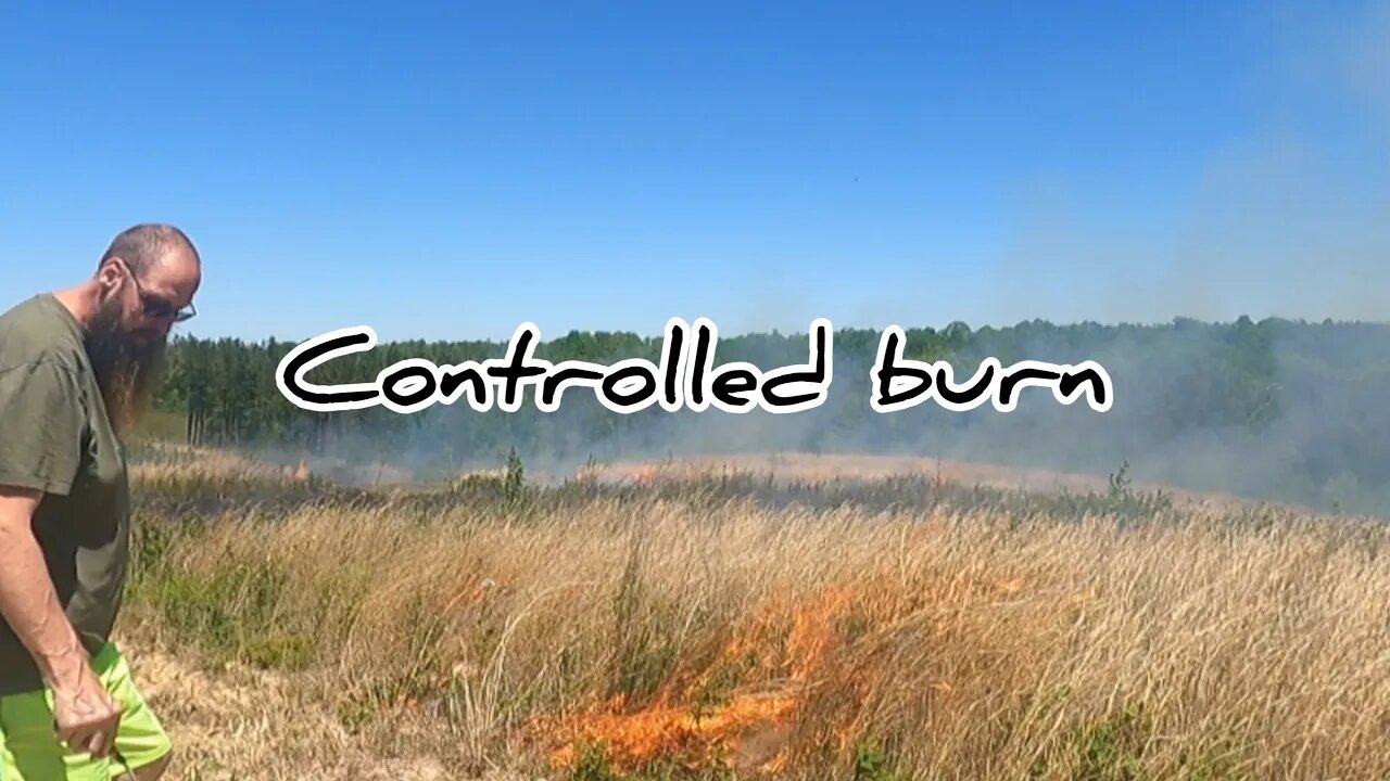 Controlled burn on our property #hedgehogshomestead #controlledburn