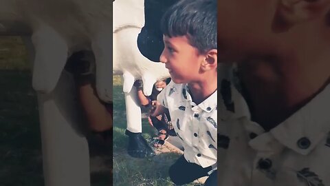 mera dil ye pukaray aa ja #earnmoneyonline #india#shorts