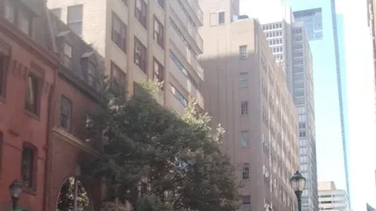 Walk Up To Yoga Habit To Practice 🐙🦚