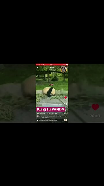 Kung fu panda #defesapessoal #kravmaga #segurança #aracaju #luta #autoestima #esporte #kungfu