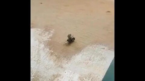 18 марта 2023 г.