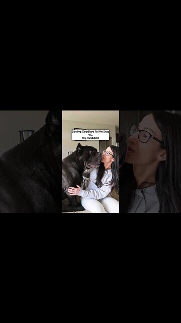 Saying Goodbye To My Dog 🐶 VS. My Husband 😍 #shorts #dog #funny