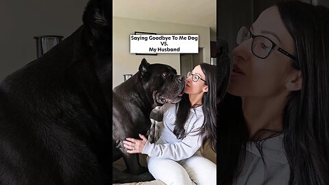 Saying Goodbye To My Dog 🐶 VS. My Husband 😍 #shorts #dog #funny