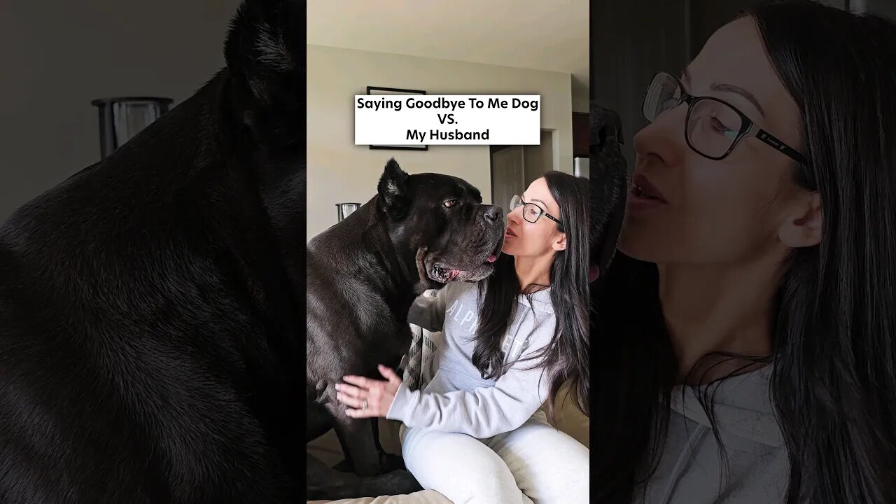 Saying Goodbye To My Dog 🐶 VS. My Husband 😍 #shorts #dog #funny