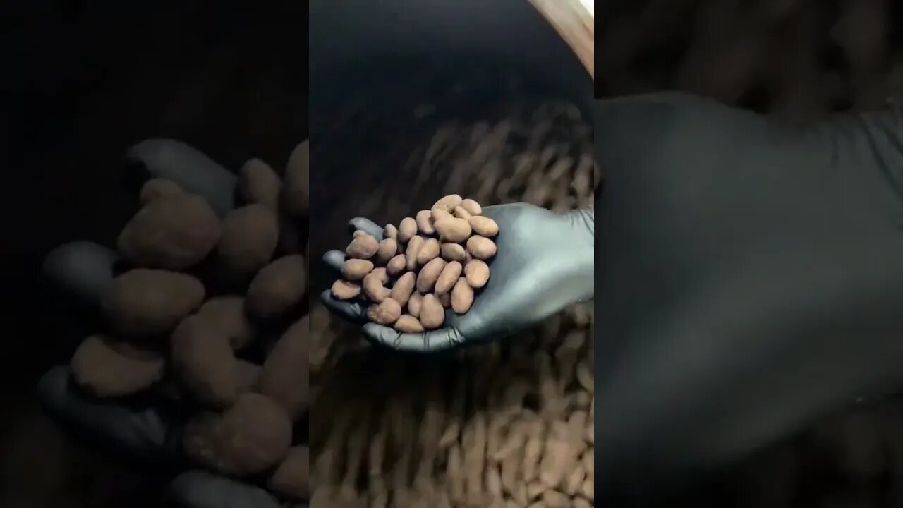 the beginning and end of the production process of cinnamon almonds 🍫 😋 pedacoscacau