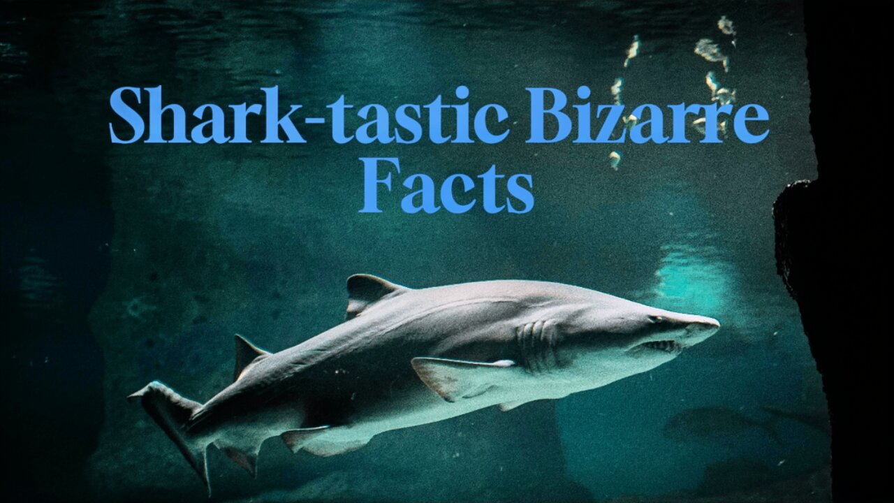 Shark-tastic Bizarre Facts