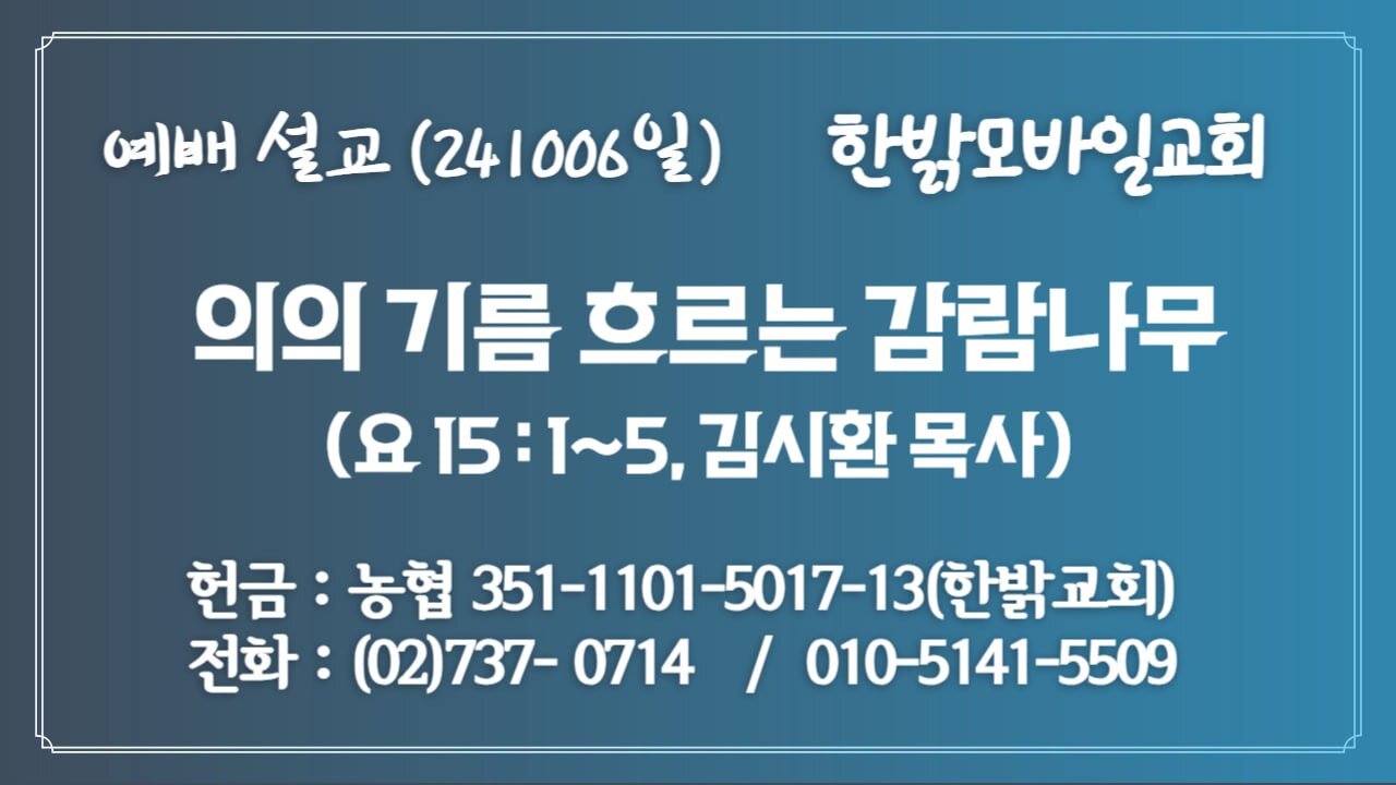 241006(일) [예배설교] 의의 기름 흐르는 감람나무(요15:1~5절) [예배] 한밝모바일교회 김시환 목사