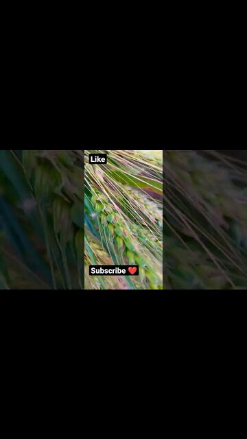 excuse 🤨🙏🤨 #youtubeshorts #shorts #youtube #shortvideo #shortyoutube