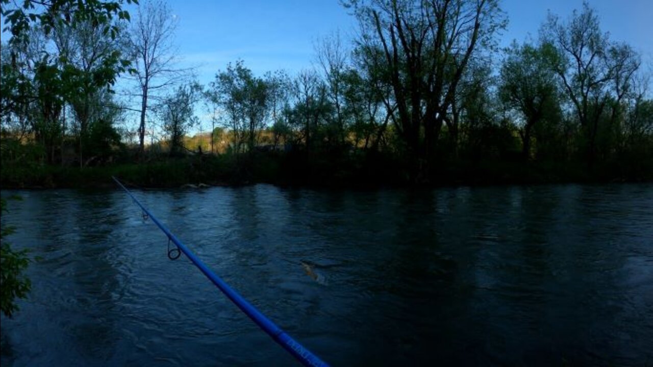 Trout Fishing but I Lose a lot of fish