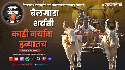 SARKARNAMA PODCAST : बैलगाडा शर्यती- काही मर्यादा हव्यातच
