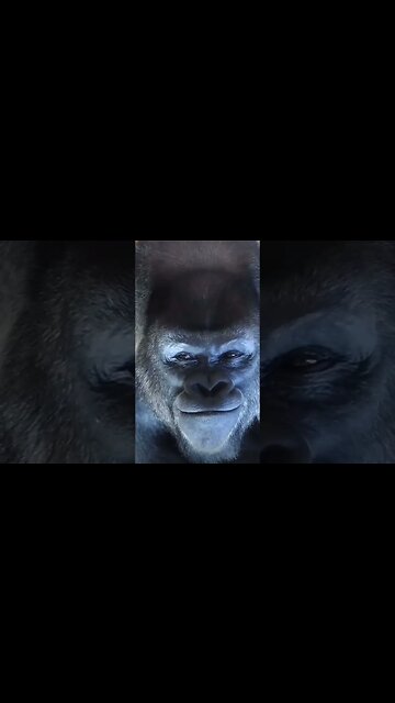 Watching the news in 2022 wondering if I’m taking crazy 💊