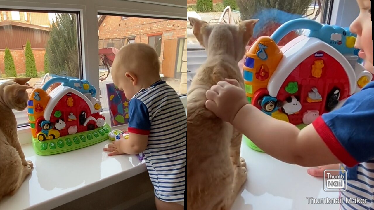 A Cute Baby Playing With His Toys and Cat😊
