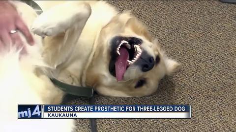High schoolers building prosthetic limb for puppy