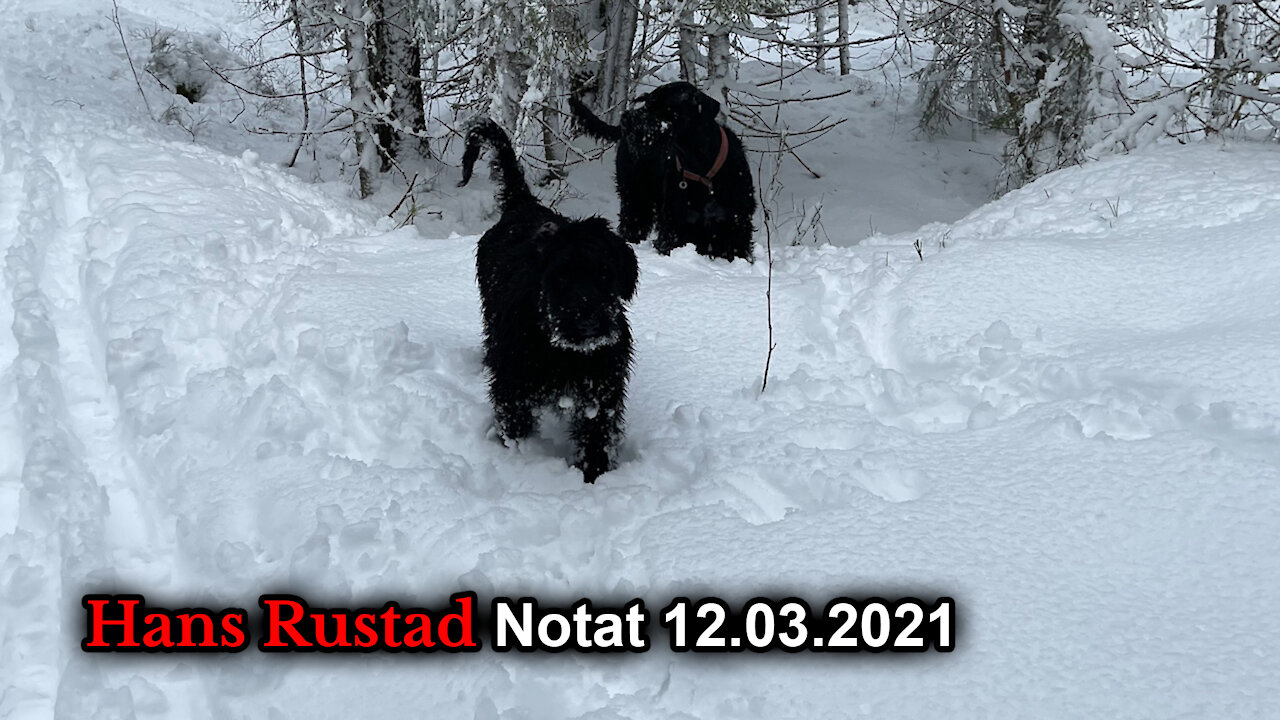 Hans Rustad notat 12.03.2021 Hvem eier landet?