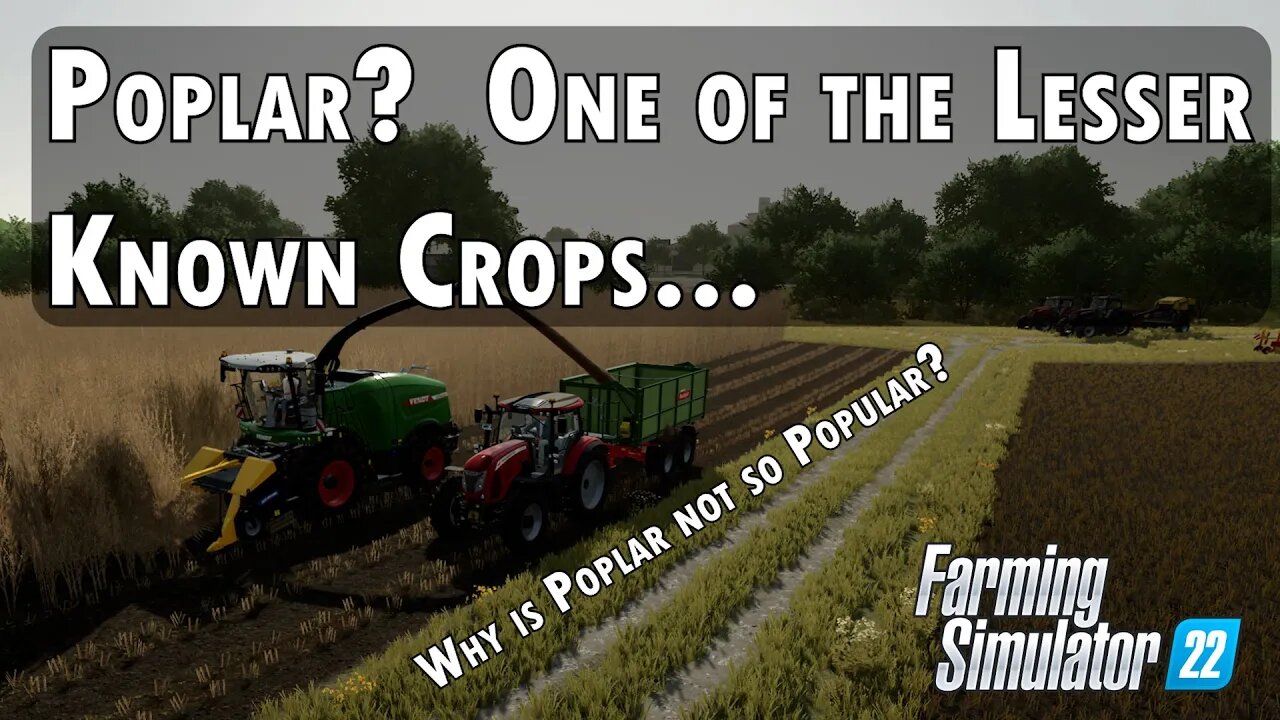 What is Poplar and why would you grow it in Farming Simulator 22