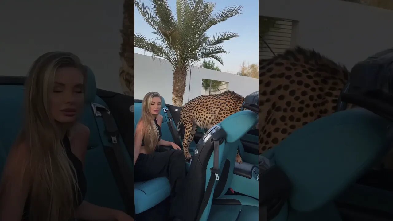 Love vacation #love #vacation