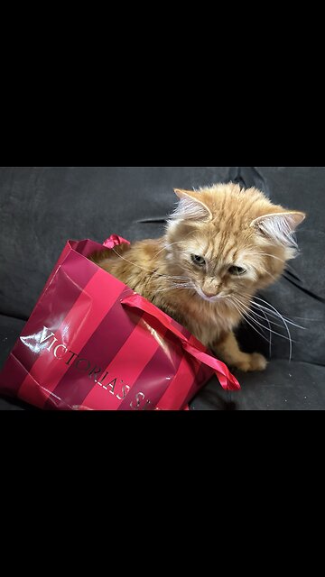 #greenjuice #pineapple #skincare #glassskin #fypシ゚viral #fyp