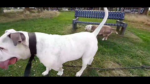 Winnie en Famke bij Duinterpen in Sneek