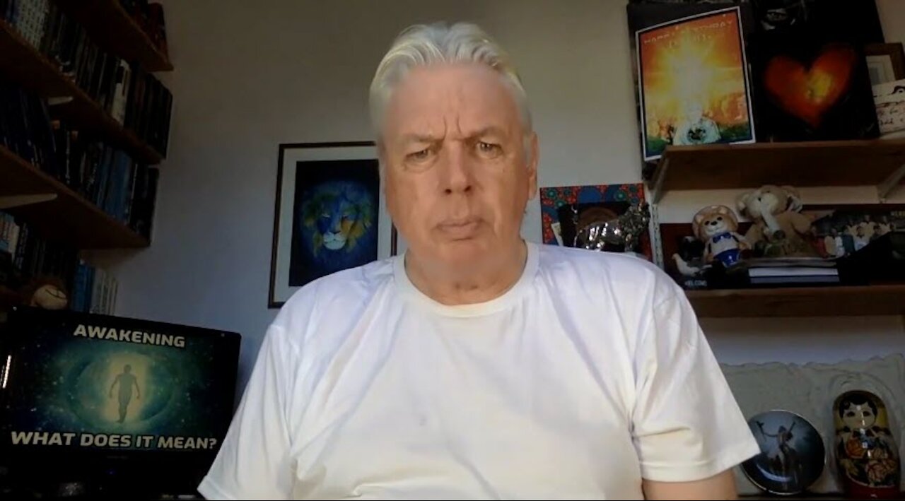 David Icke On What "The Great Awakening" Is