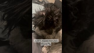 Just 5 more minutes Mom!