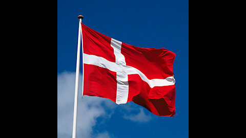 Danish authorities shut down access to BITCHUTE over "dangerous" COVID information