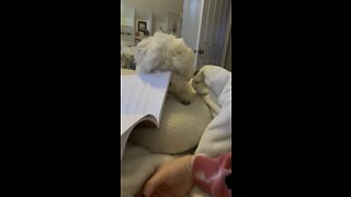 I’m obviously not getting it