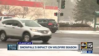 Snowfall's impact on wildfire season