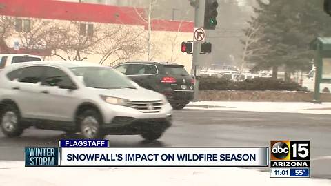 Snowfall's impact on wildfire season