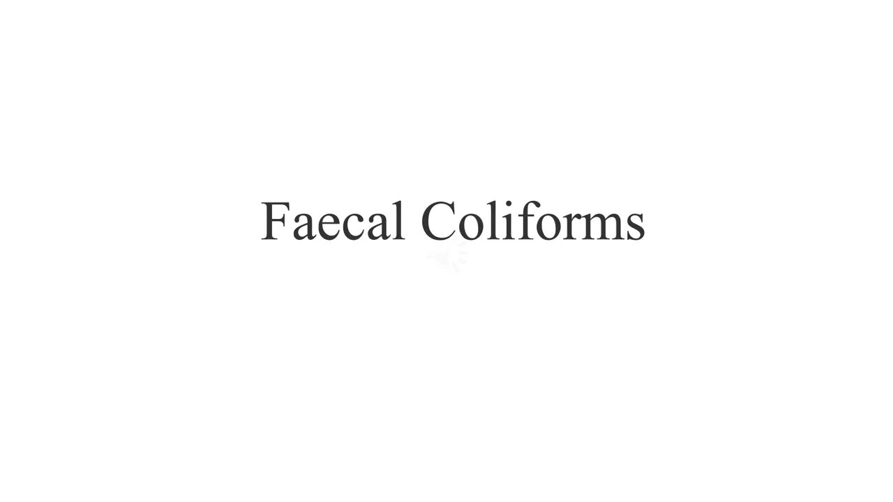 Faecal Coliforms