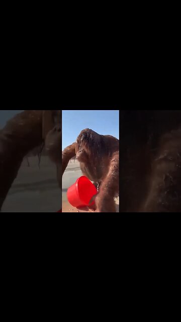 On vacation, I do what I want 😂😂