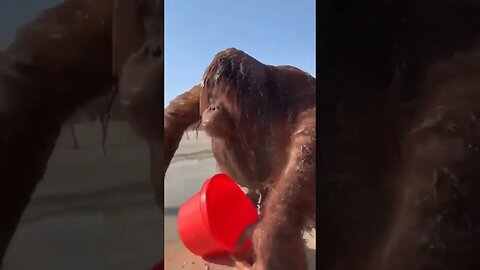 On vacation, I do what I want 😂😂