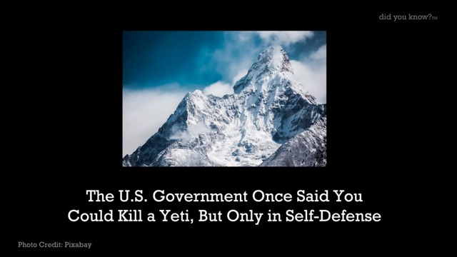 The U.S. Government Once Said You Could Kill A Yeti