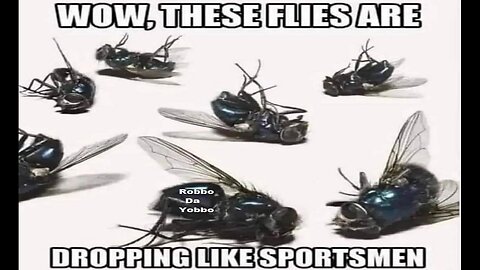 The Flies Are Dropping Like Sportsmen