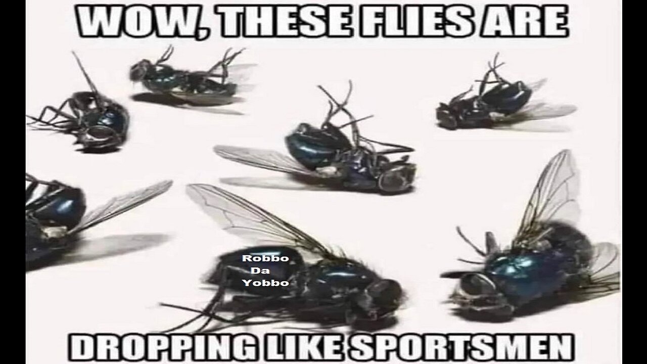 The Flies Are Dropping Like Sportsmen