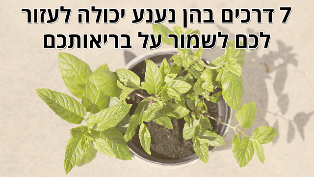 7 דרכים יעילות בהן נענע יכולה לעזור לכם לשמור על בריאותכם