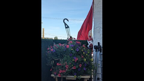 🇨🇦👾 Happy Victoria Day from Victoria
