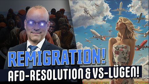 Mein Buch & die Remigrations-Resolution der AfD