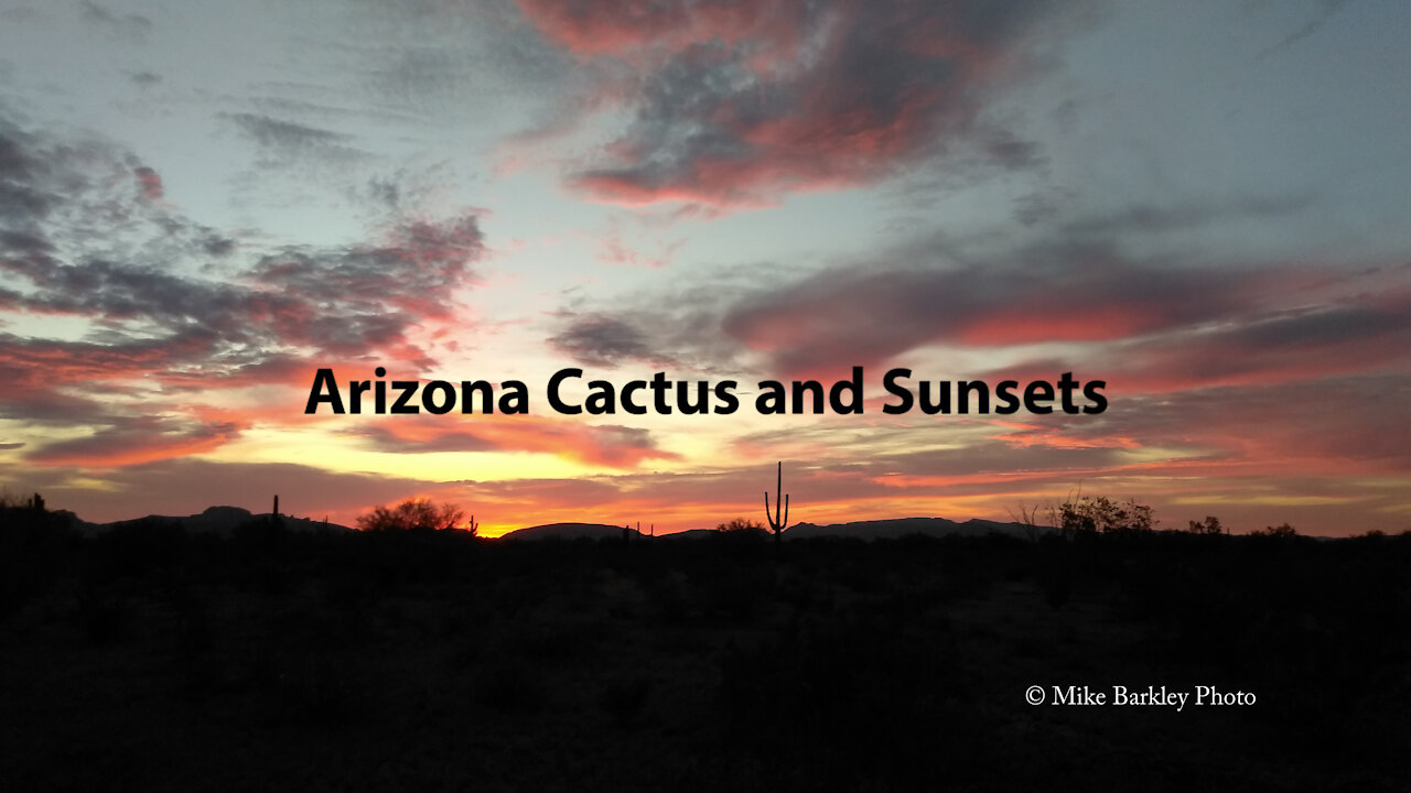 AZ Cactus and Sunsets