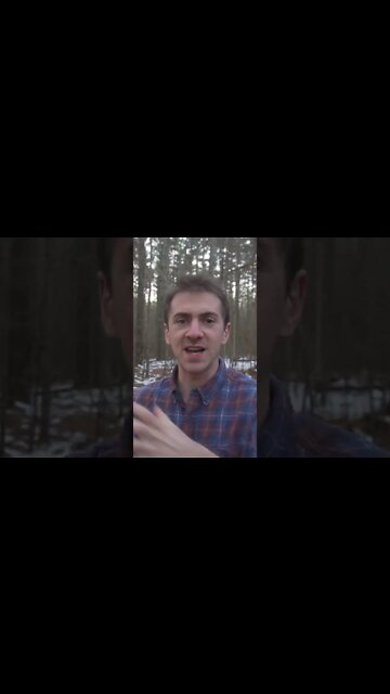 I made an extra $600 selling this Wild Mushroom