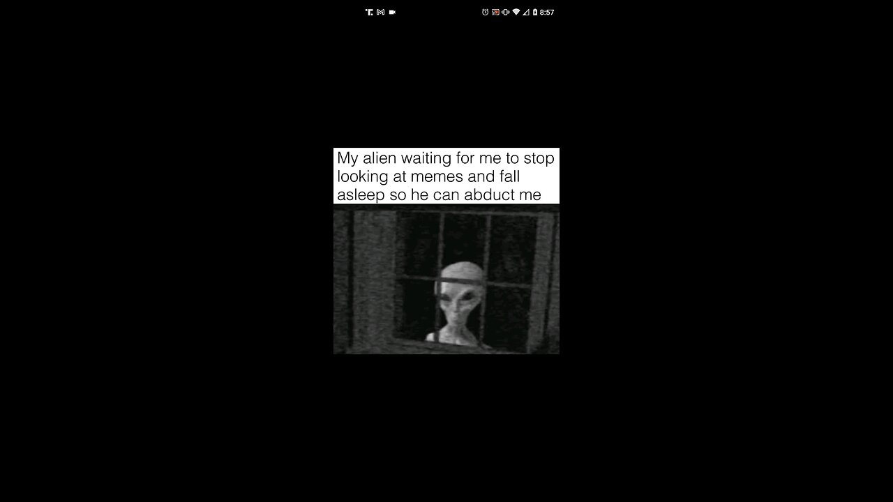 Memes #47